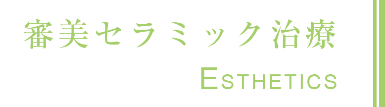 白い歯を創り上げる白い詰め物